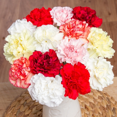A beautiful selection of 14 long-lasting single Carnations in colours of white, yellow, orange, red and pink.<br /><br />We guarantee our Carnations will last for at least two weeks and we send our Carnations in bud to ensure maximum vase life. A beautiful selection of 14 long-lasting single Carnations in colours of white, yellow, orange, red and pink.<br /><br />We guarantee our Carnations will last for at least two weeks and we send our Carnations in bud to ensure maximum vase life.