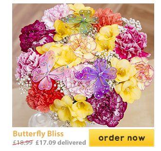 Butterfly Bliss - Only &pound;17.09 delivered
