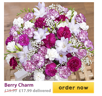 Berry Charm - Only &pound;17.99 delivered