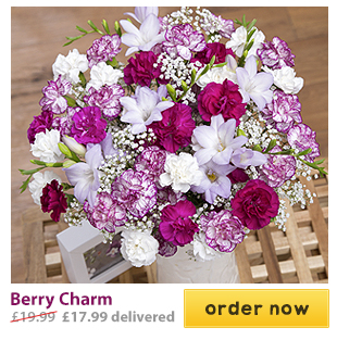 Berry Charm - Only &pound;17.99 delivered