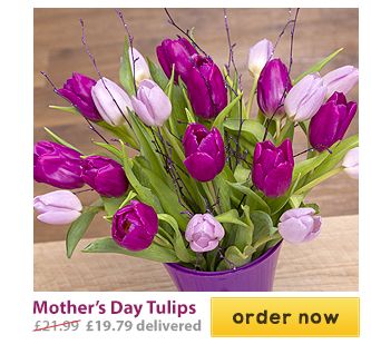 Mother's Day Tulips - Only &pound;19.79 delivered