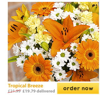 Tropical Breeze - Only &pound;19.79 delivered